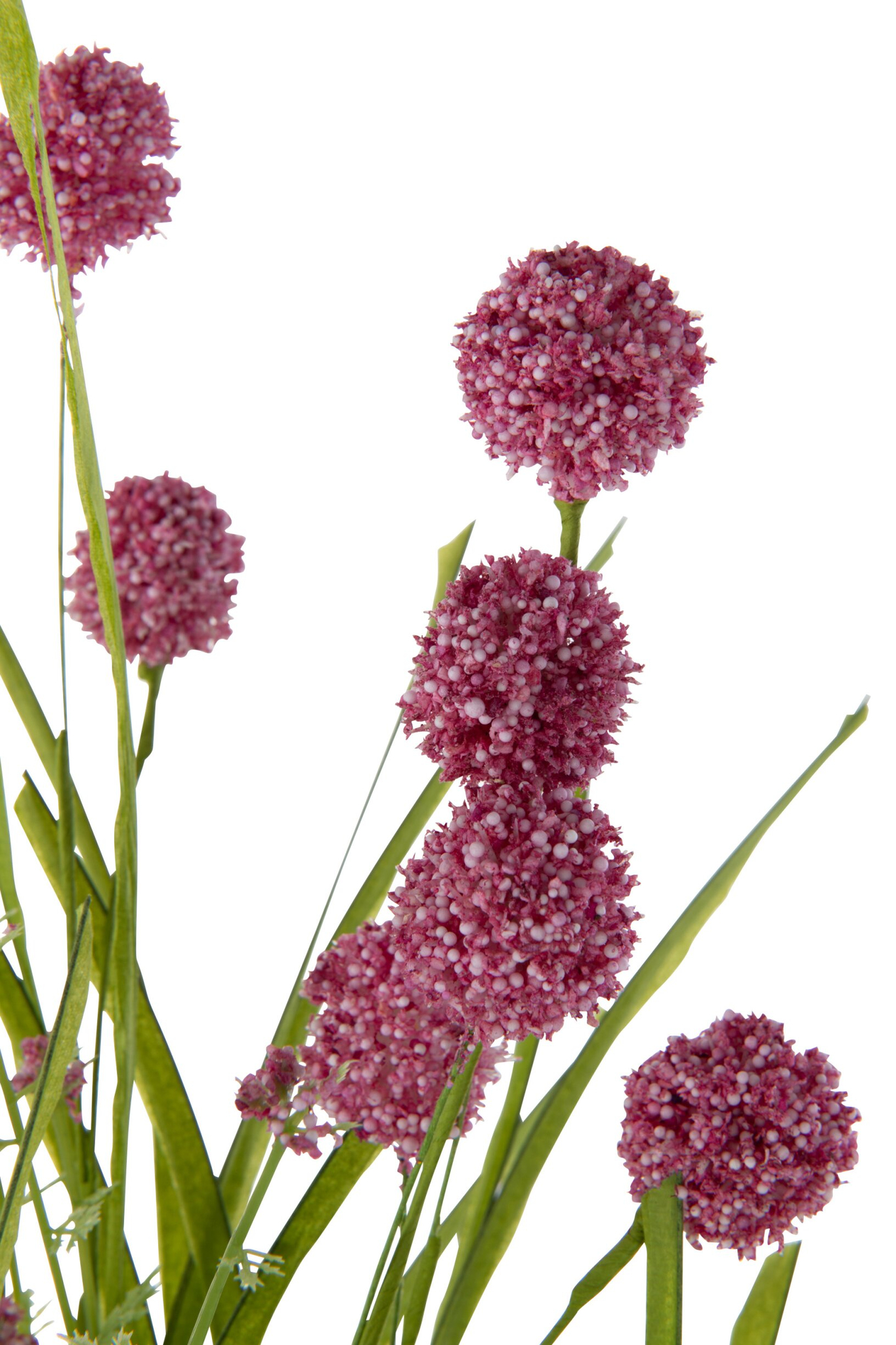 Kunsttak Vaavena Kunststof Roze