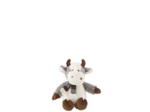 Plaid Coornane Meerkleurig