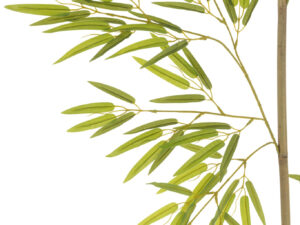 Woonaccessoire Neiner Hout Groen