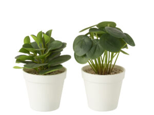 Kunstplant Rallun Kunststof Groen H22 cm - Set van 2