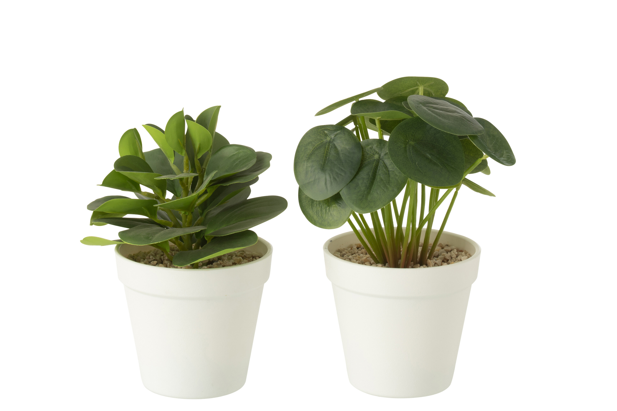 Kunstplant Rallun Kunststof Groen H22 cm - Set van 2