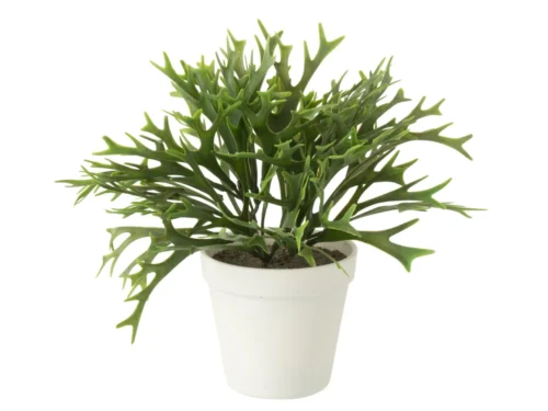 Kunstplant Treria groen in witte pot, compact en onderhoudsvrij, H26 cm