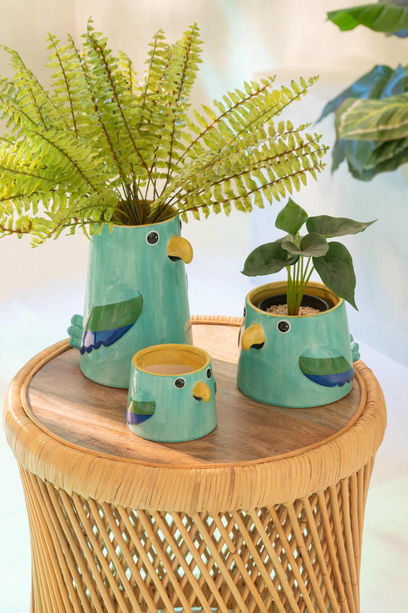 Kunstplant Sansello Kunststof Groen H23 cm - Set van 3