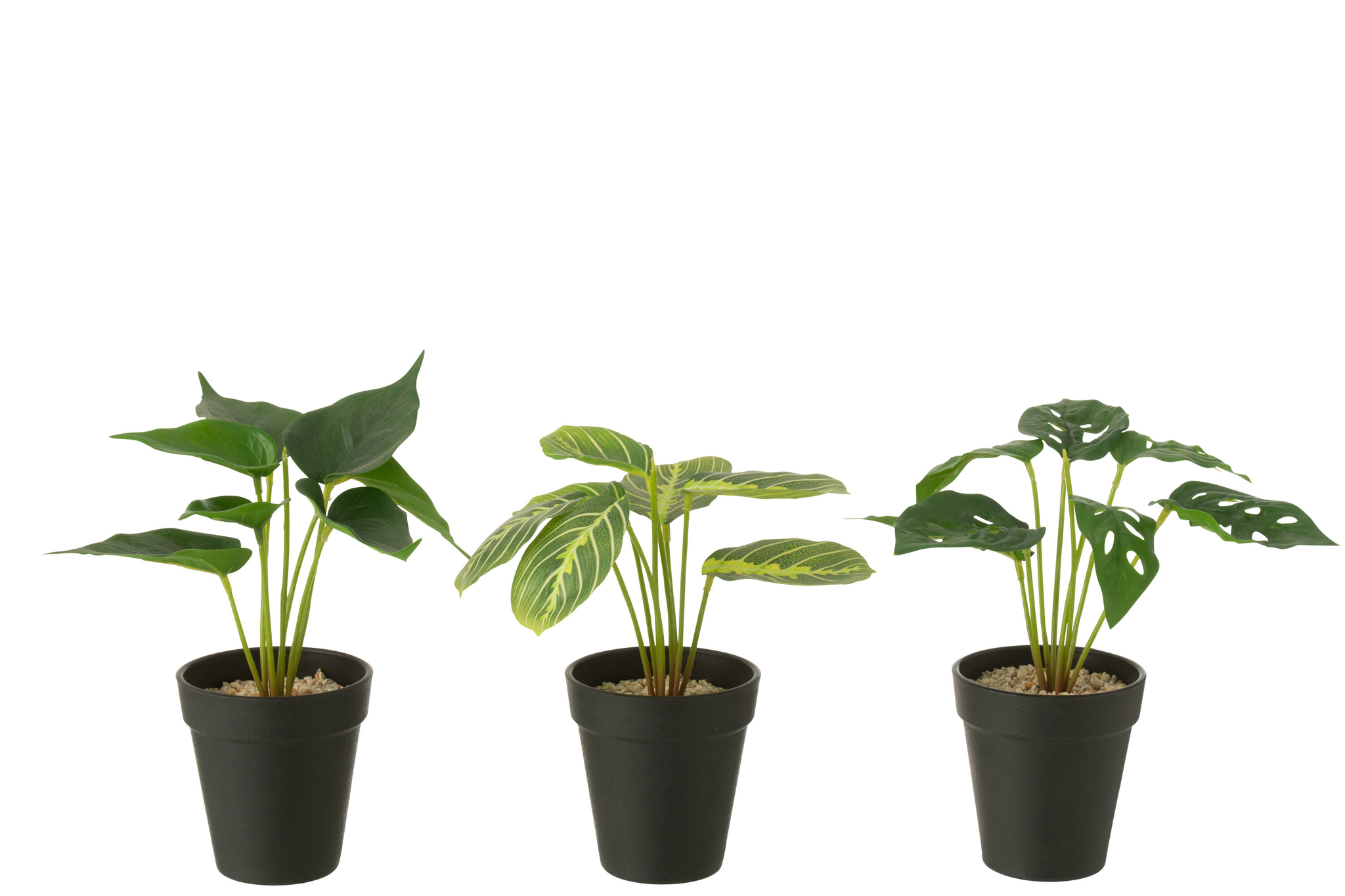 Kunstplant Sansello Kunststof Groen H23 cm - Set van 3 - Afbeelding 2