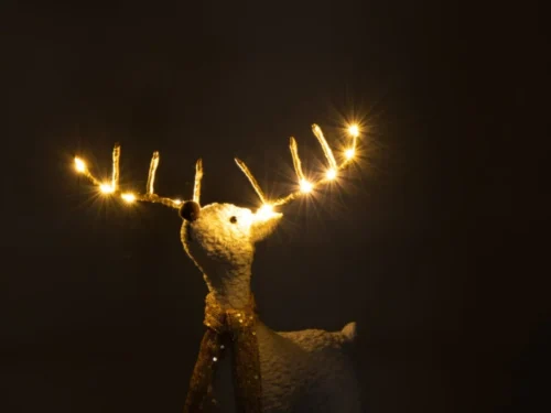 Plaid Jeltano Wit rendier met gouden lichtjes en sjaal, sfeervol winterdecor voor in huis