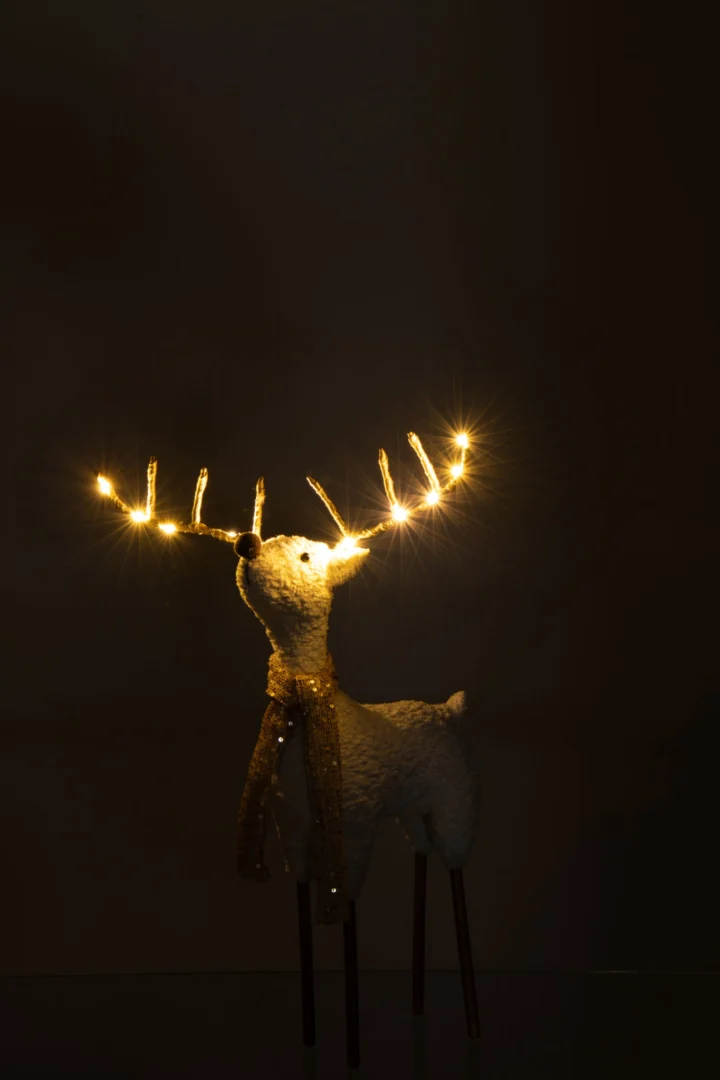 Plaid Jeltano Wit rendier met gouden lichtjes en sjaal, sfeervol winterdecor voor in huis