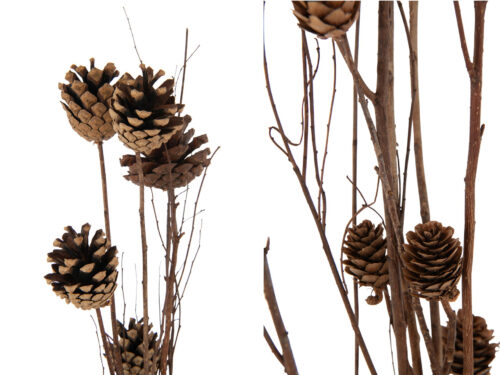 Droogbloemen Raurros bruin, set van 2 takken met pinecones, 100 cm, natuurlijke warme decoratie