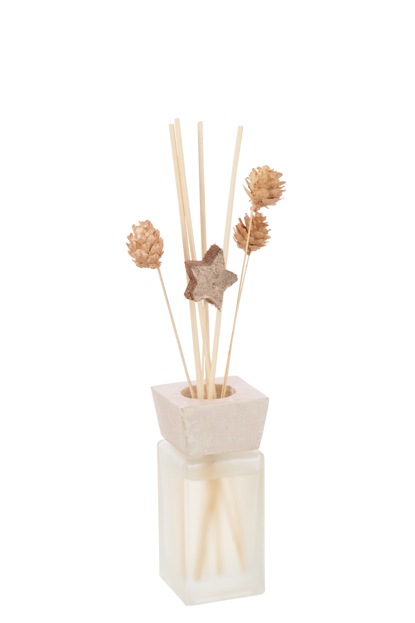 Droogbloemen Reisum Zwart - Afbeelding 2