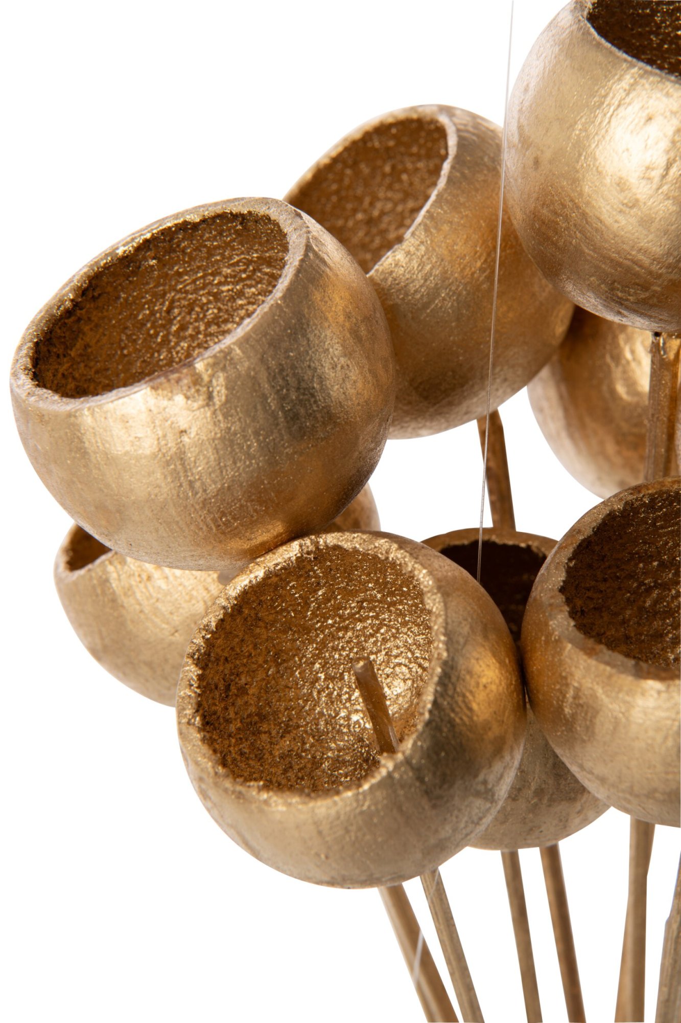Droogbloemen Niery Goud