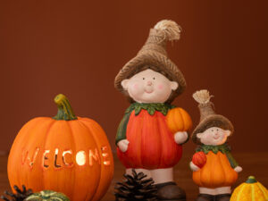 Decoratiefruit Fansol Klei Oranje H15,5 cm - Set van 2