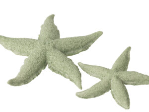 Woonaccessoire Skirdor Polyresin Groen