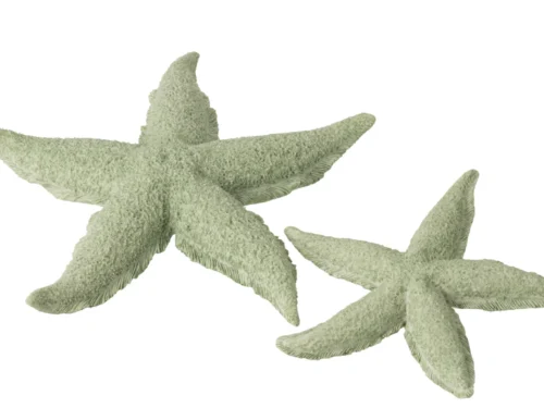 Woonaccessoire Skirdor polyresin groen zeester, groot en decoratief met textuur, 30 x 30 cm