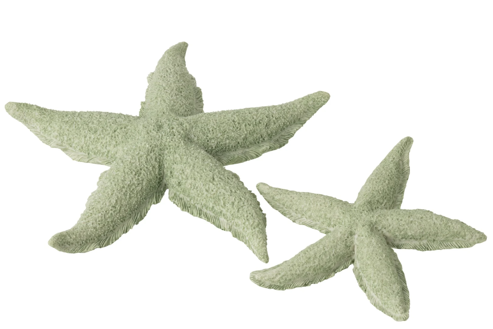 Woonaccessoire Skirdor polyresin groen zeester, groot en decoratief met textuur, 30 x 30 cm