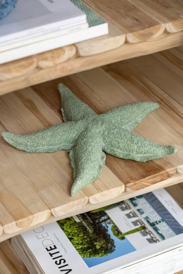 Woonaccessoire Skirdor Polyresin Groen - Afbeelding 2