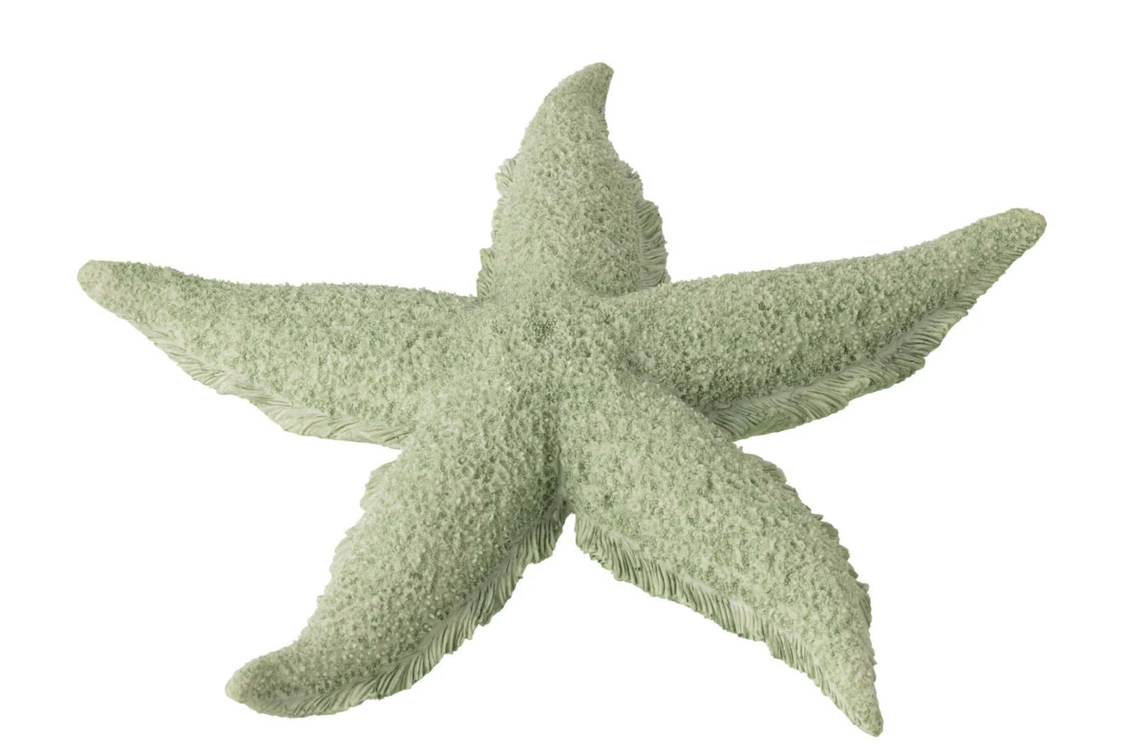 Woonaccessoire Skirdor Polyresin Groen - Afbeelding 3