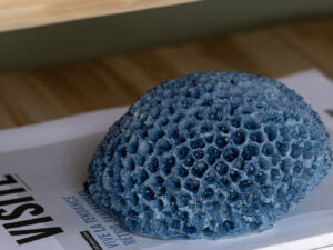 Woonaccessoire Kusky Polyresin Blauw
