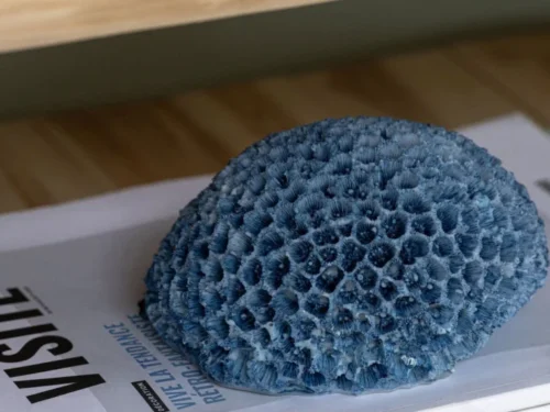 Blauw Kusky koraalornament van polyresin op boeken, compact en decoratief woonaccessoire