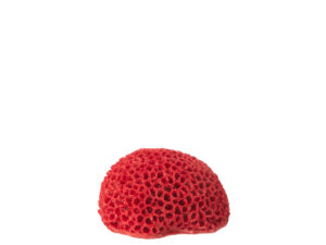 Woonaccessoire Seinnel Polyresin Rood