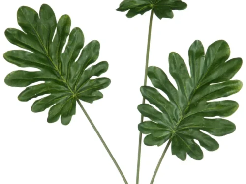 Kladesta kunsttak set van 3 in groen, philodendronblad met slanke stelen en natuurlijke uitstraling