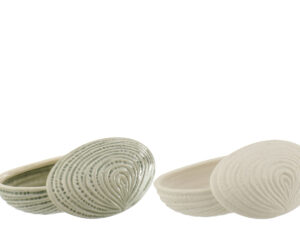 Schelpdoos Flauskea Steen Wit - Set van 2