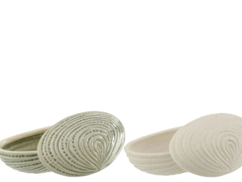 Schelpdoos Flauskea steen wit set van 2, schelpvormige steengoed doosjes met elegante ribbelstructuur
