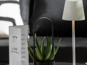 Bloempot Causonte Metaal Zwart H30 cm