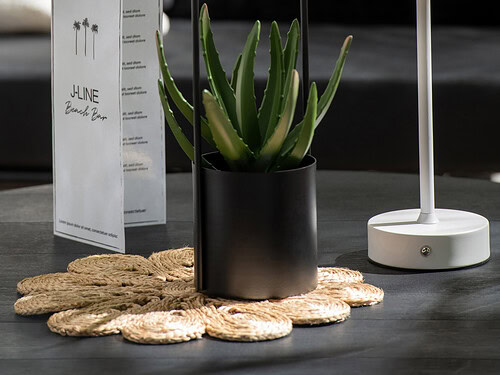 Zwarte Causonte metalen bloempot H30 cm met slank hoog silhouet en plant in moderne woonkamer