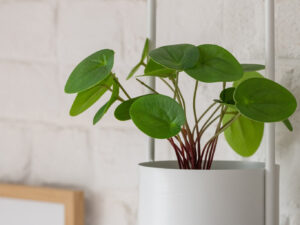 Bloempot Dieldal Metaal Wit H36 cm
