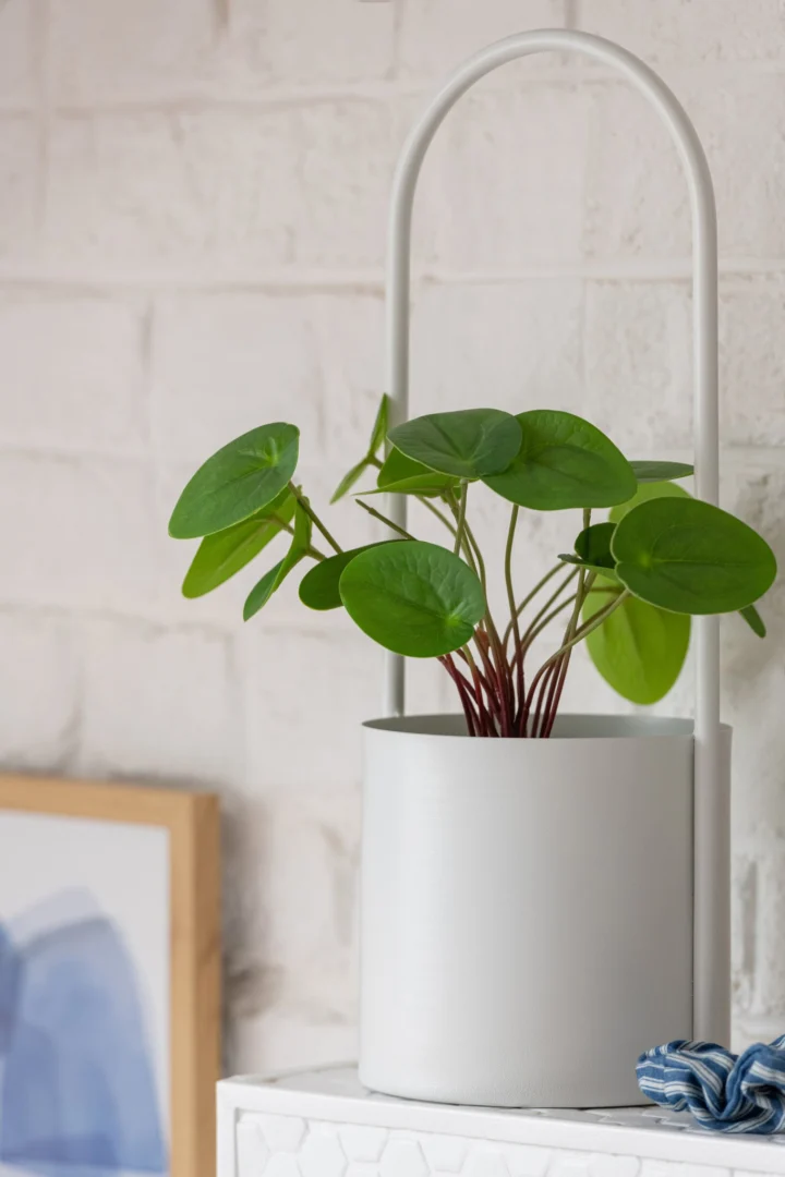 Witte metalen Dieldal bloempot met slanke handgreep en groene plant, 36 cm hoog