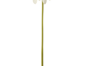 Kunstbloem Kooskand Kunststof Wit