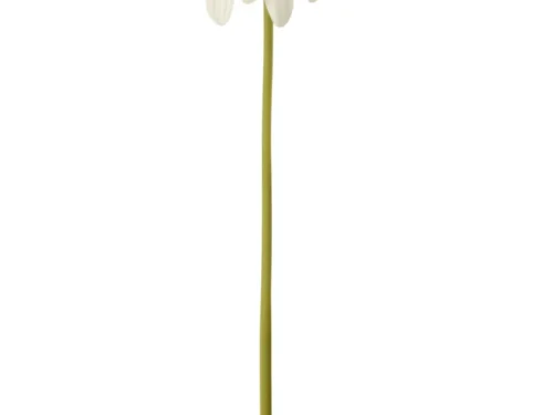 Witte Gerbera Real Touch kunstbloem met slanke steel en frisse groene kern, Kunstbloem Kooskand kunststof wit