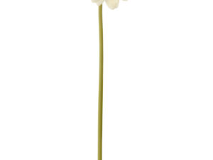 Kunstbloem Skeirnun Kunststof Beige
