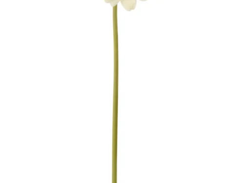 Beige Kunstbloem Skeirnun Gerbera Real Touch met natuurlijke ecru bloemblaadjes en lange steel
