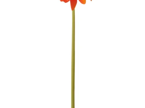 Kunstbloem Skeestund oranje gerbera met lange steel, natuurgetrouw en 65 cm hoog