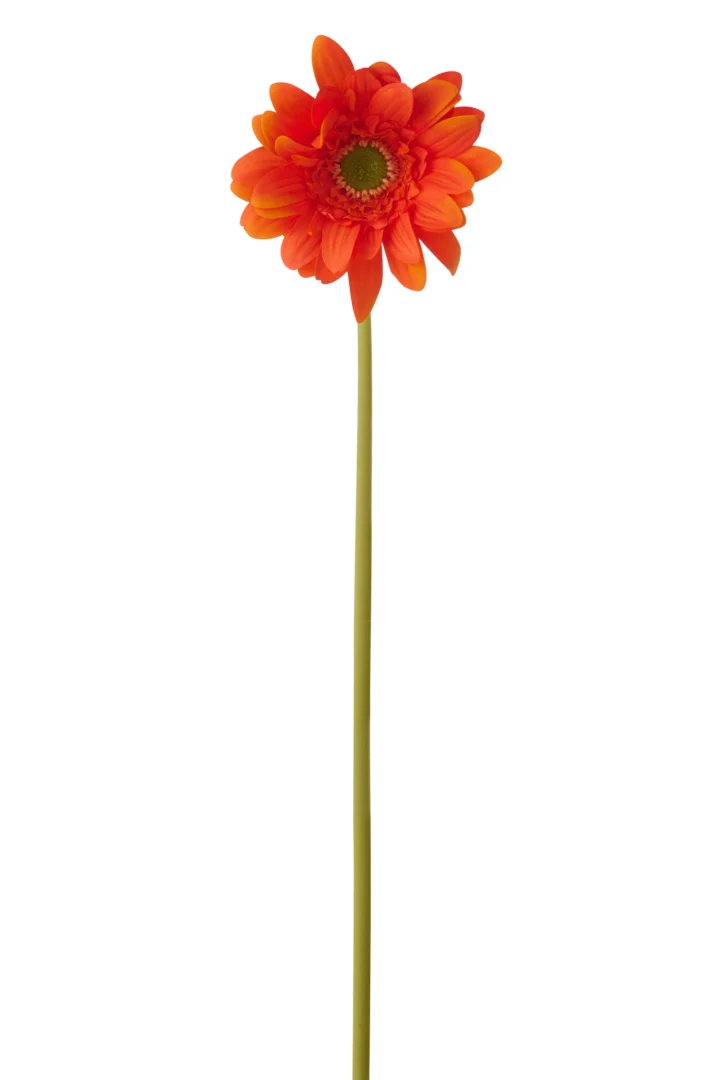 Kunstbloem Skeestund oranje gerbera met lange steel, natuurgetrouw en 65 cm hoog
