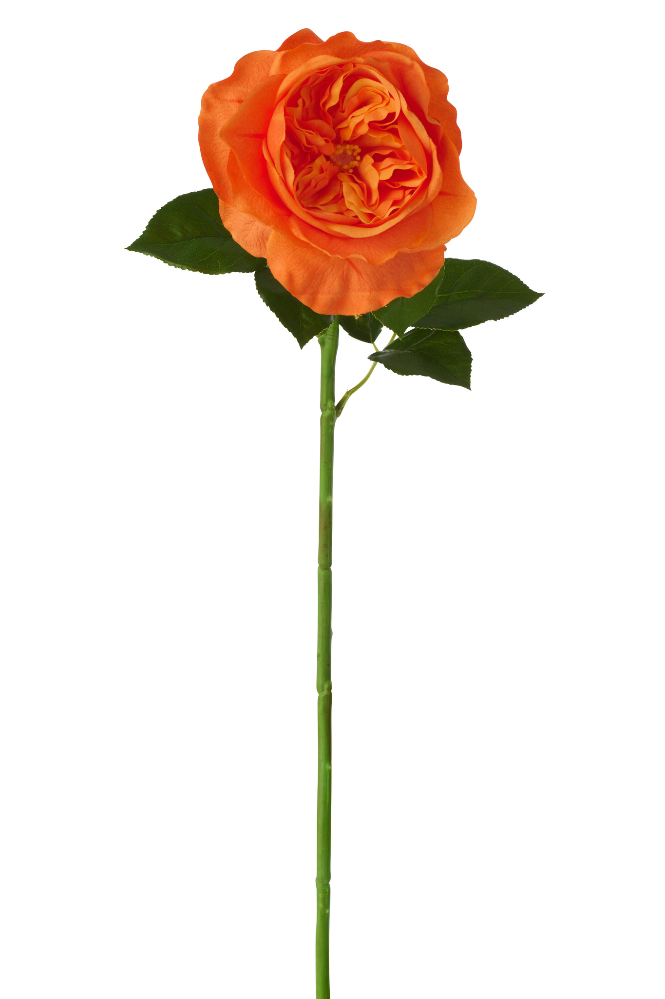 Kunstbloem Grutos Kunststof Oranje - Afbeelding 2