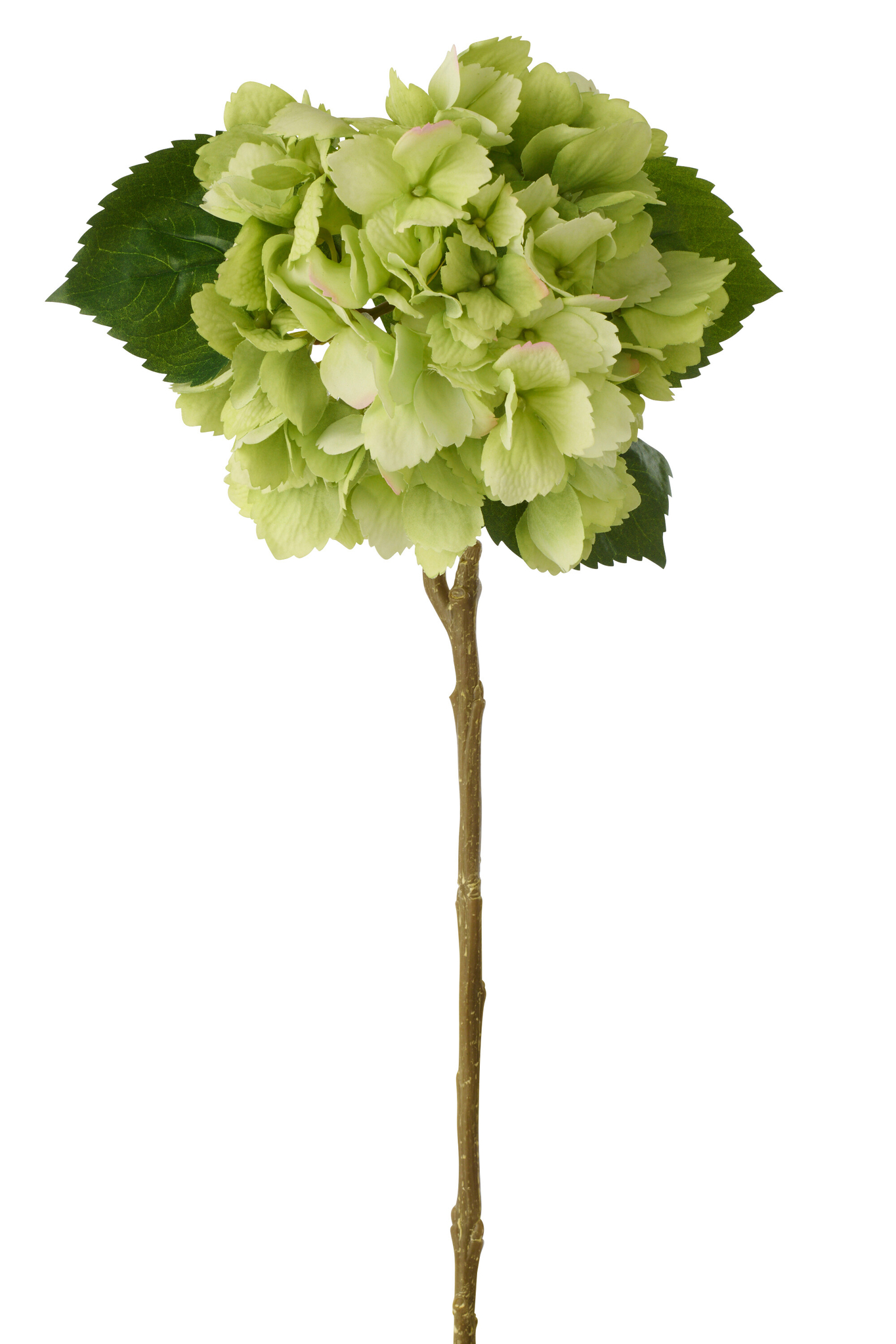 Kunstbloem Jeidone Kunststof Groen