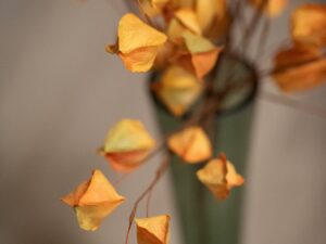 Decoratie Teermor Papier Geel