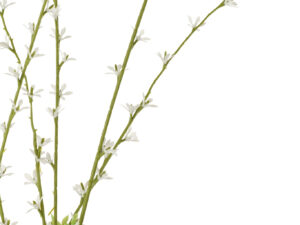 Kunstbloem Gobea Pvc Wit