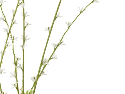 Kunstbloem Gobea PVC wit met slanke groene stelen en kleine witte bloesems, 98 cm hoog