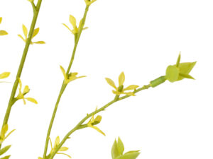 Kunstbloem Relvino Pvc Geel