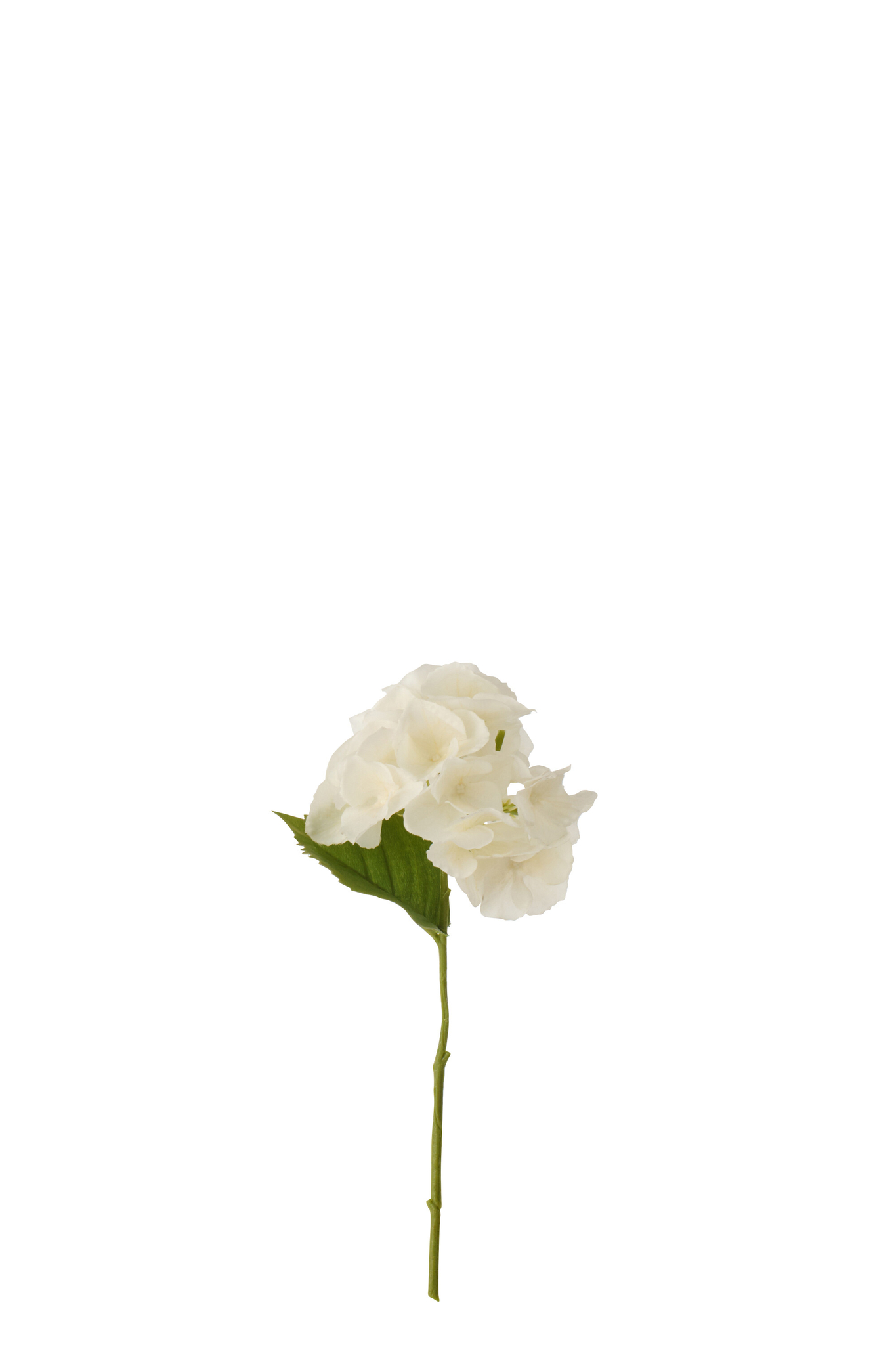 Kunstbloem Fildun Polyester Wit