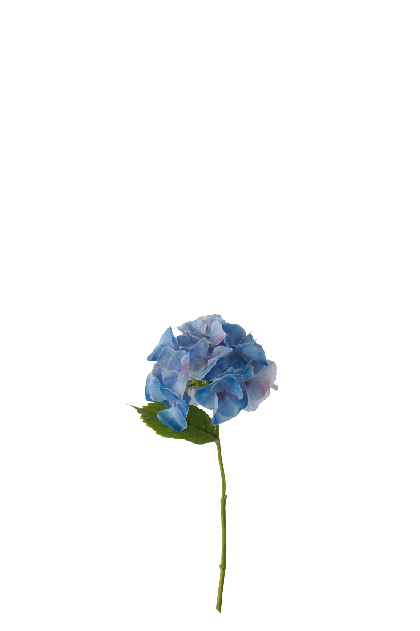 Kunstbloem Skeltonte Polyester Blauw