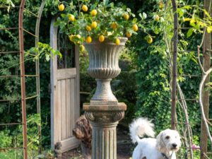Decoratiefruit Jurnak Polyester Groen H8 cm
