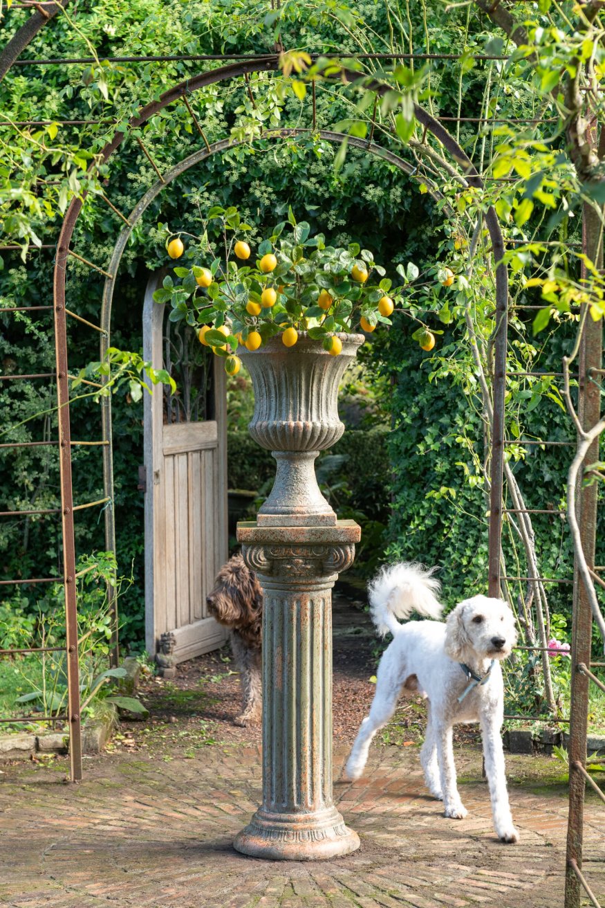 Decoratiefruit Jurnak Polyester Groen H8 cm