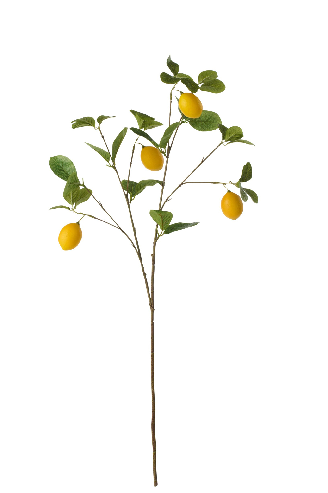 Decoratiefruit Jurnak Polyester Groen H8 cm - Afbeelding 2