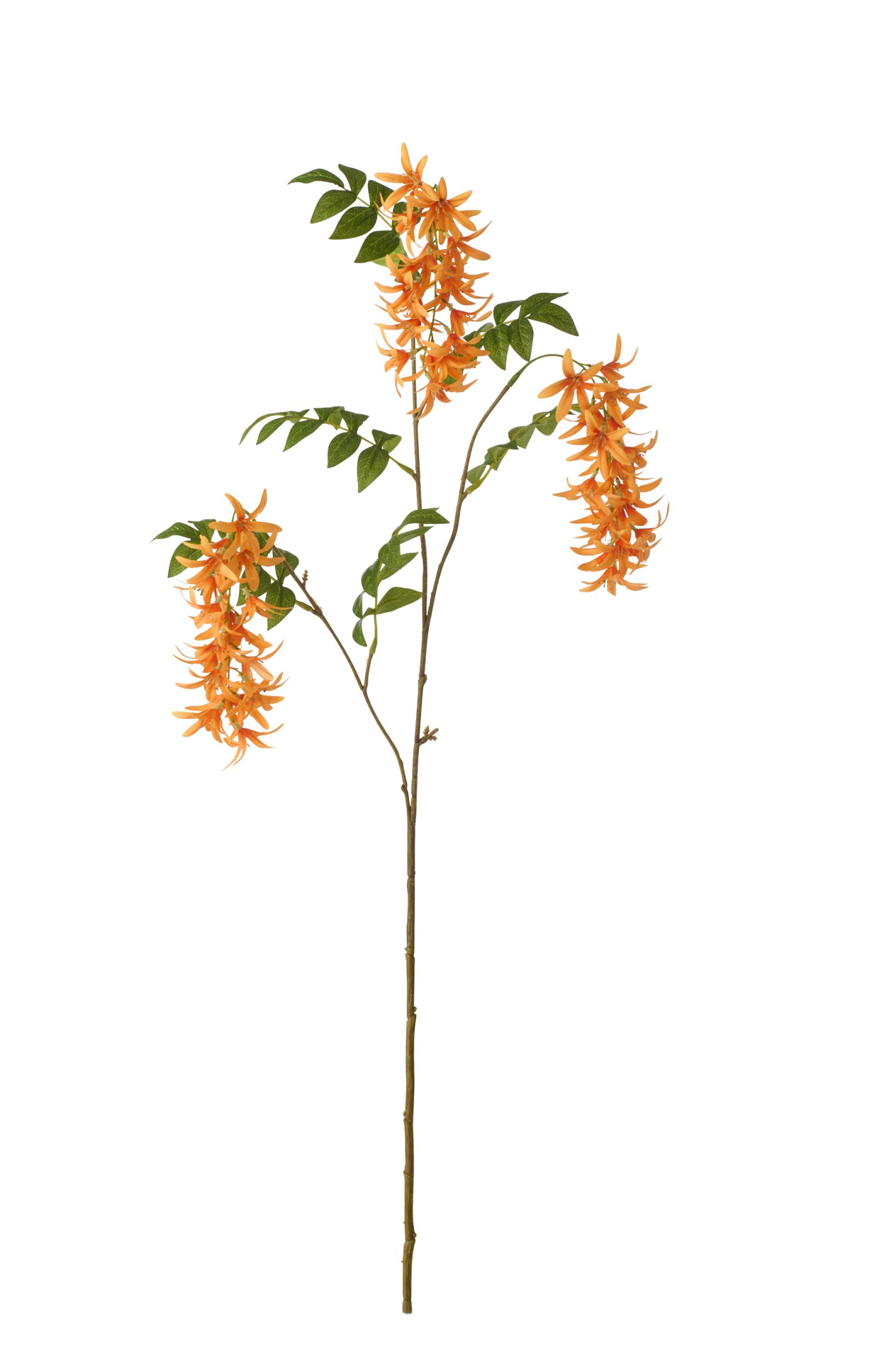 Woonaccessoire Foovella Polyester Oranje