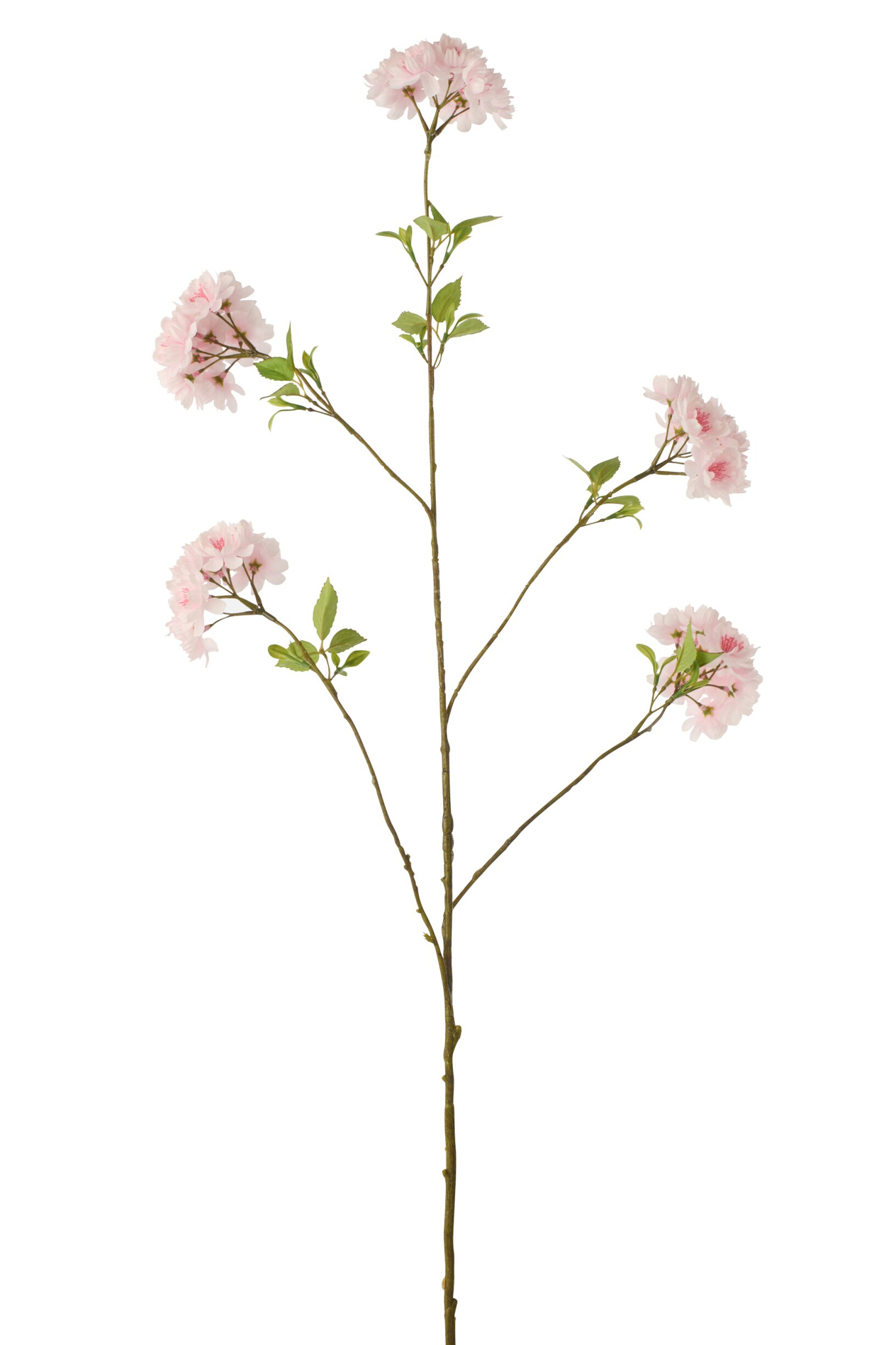 Decoratie Geeskona Polyester Roze