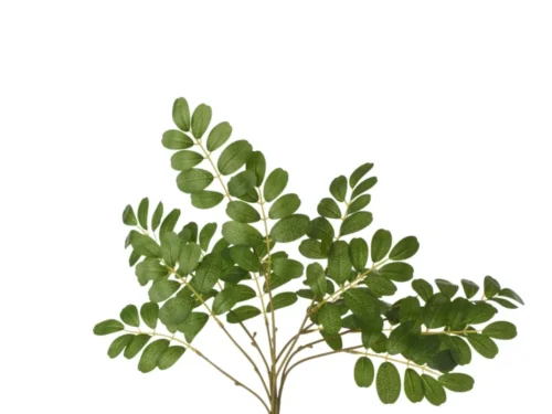 Tafelblad Preessun 53 cm, set van 3 donkergroene Senna-bladeren van textiel met natuurlijke uitstraling