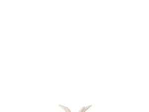 Decoratiefiguur Viendum Beige H10 cm - Set van 2